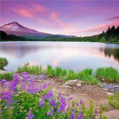 AG直装官方下载